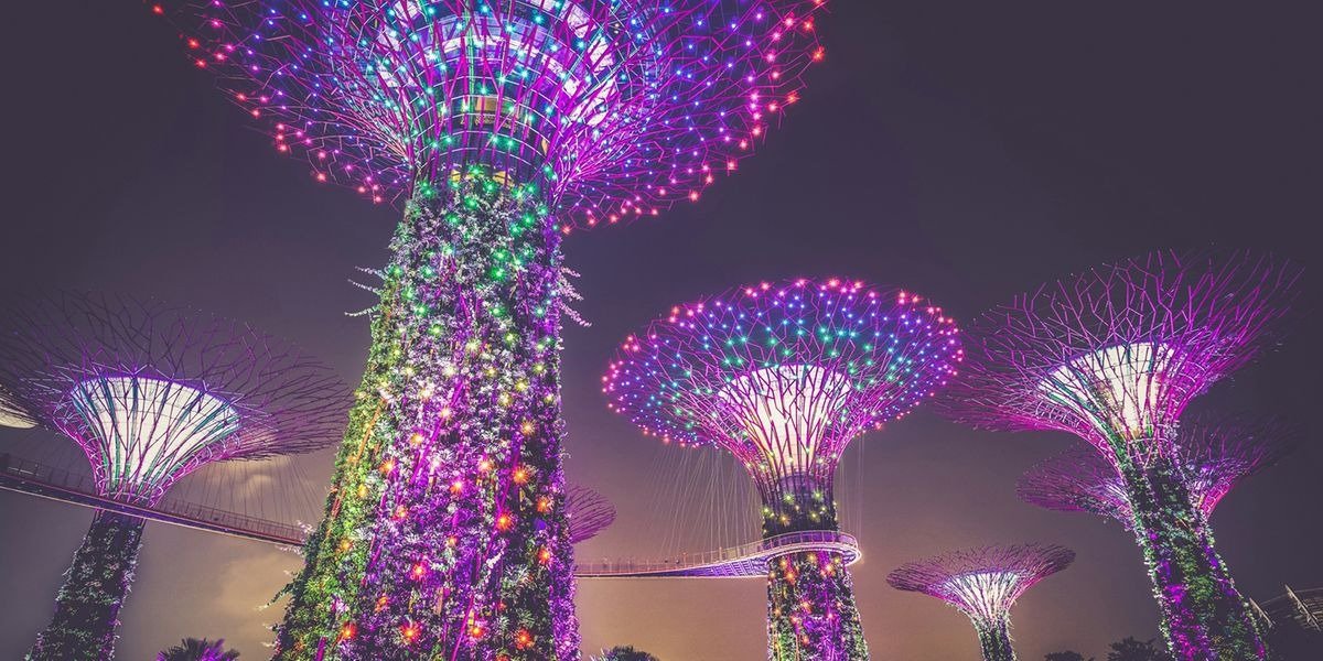 Asian Extravaganza photo 8