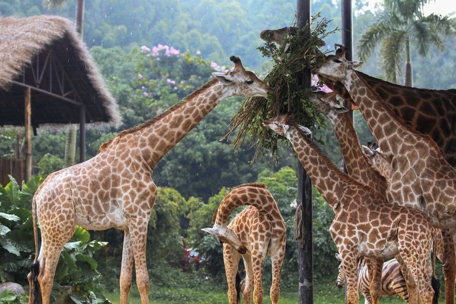 Vietnam with Sapa and Phu Quoc photo 3