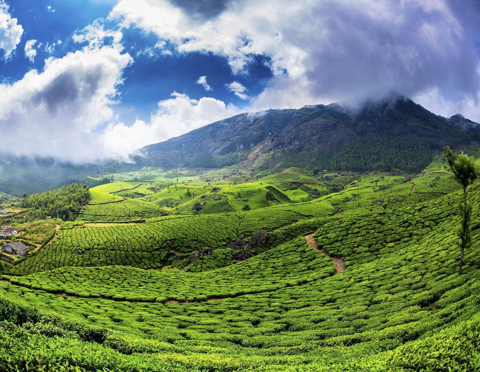 Kerala Romantic Escape photo 2