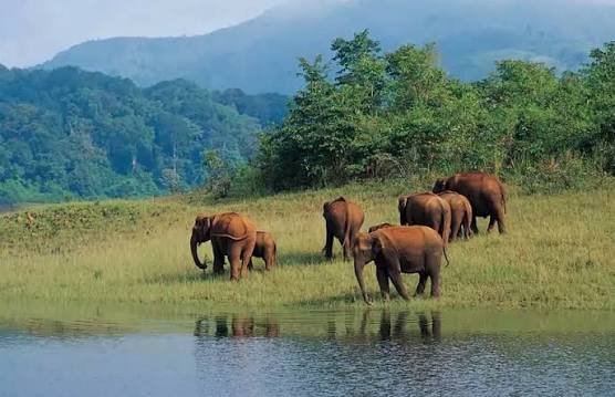 Kerala Escape – 4 Nights / 5 Days photo 5