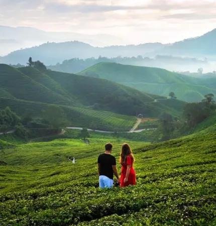 Kerala Romantic Escape photo 5